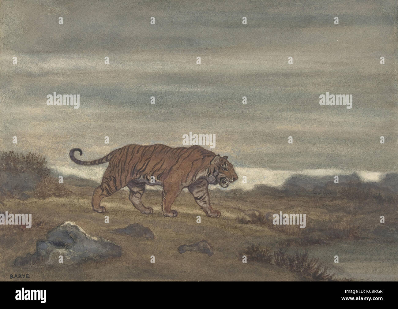 Tiger Annäherung an den Pool, Antoine-Louis Barye, 1810-75 Stockfoto