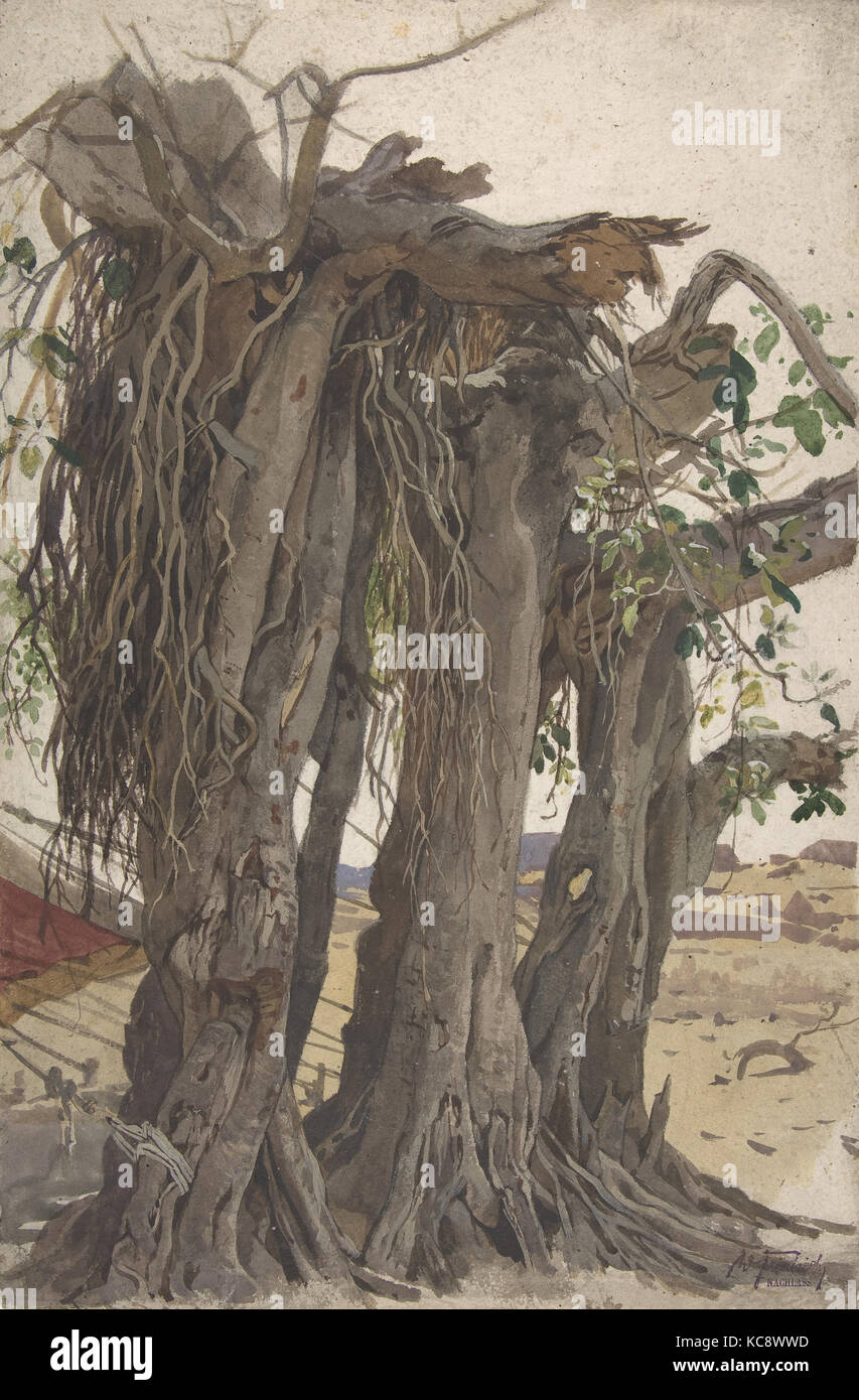 Studie von einem Baumstumpf mit Luftwurzeln, Woldemar Friedrich, Mitte des 19. Jahrhunderts Stockfoto