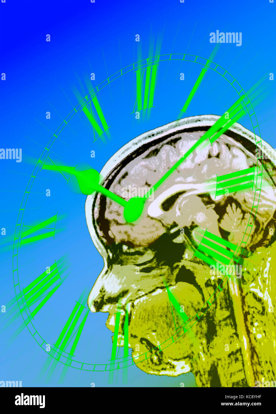 Multi-Bild von Ziffernblatt und MRI-Scans auf den Körper-Clock oder zirkadianen Rhythmus Sinn im menschlichen Gehirn darstellen. Stockfoto