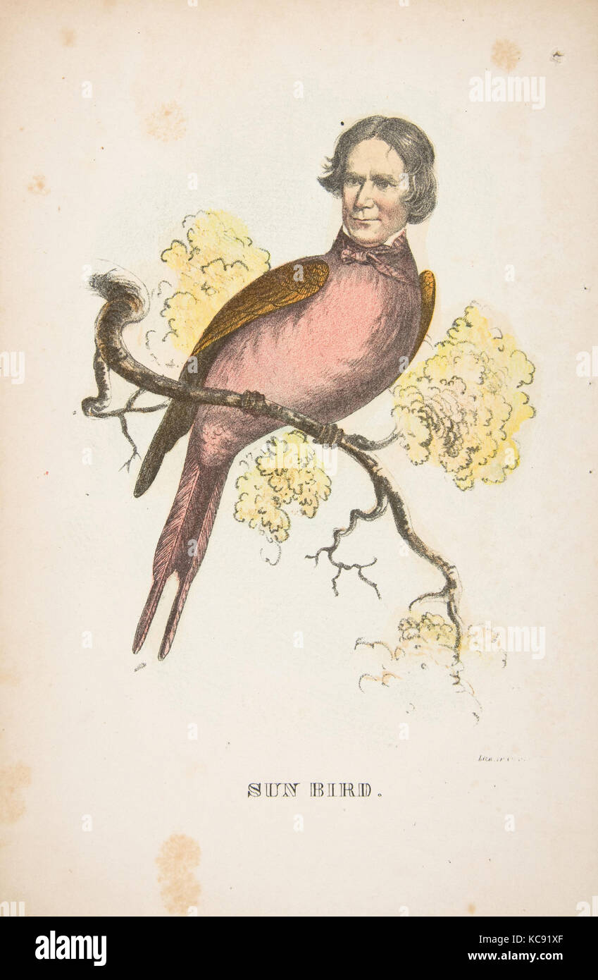 Sun Bird (James S. Wallace), aus dem Comic natürliche Geschichte der menschlichen Rasse, Henry Louis Stephens, 1851 Stockfoto