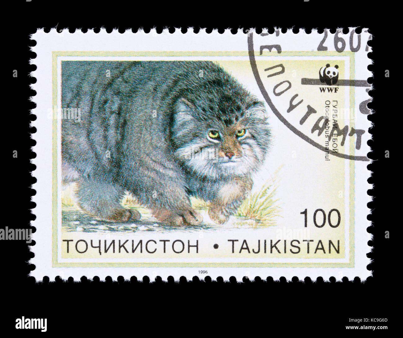 Briefmarke aus Tadschikistan Darstellung des Pallas cat (Otocolobus manul) Stockfoto