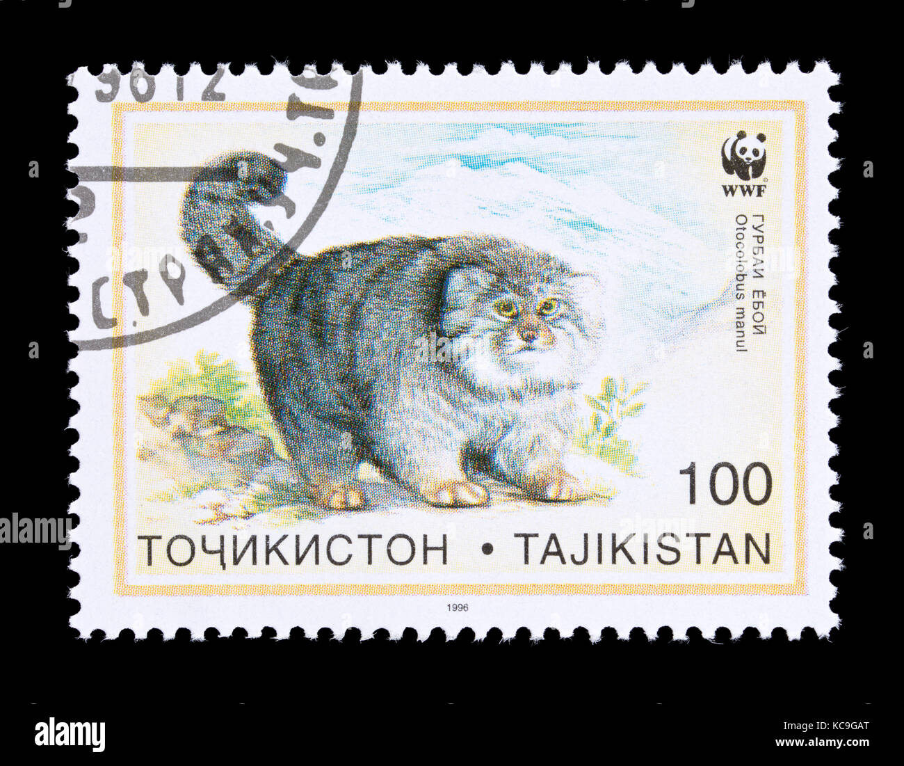 Briefmarke aus Tadschikistan Darstellung des Pallas cat (Otocolobus manul) Stockfoto