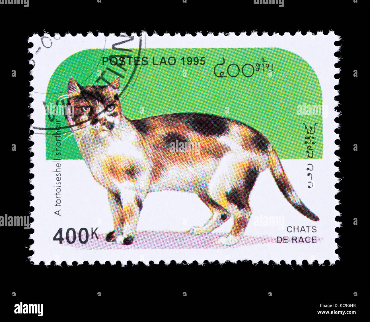 Briefmarke aus Laos mit der Darstellung eines schildpatt Kurzhaarkatze. Stockfoto