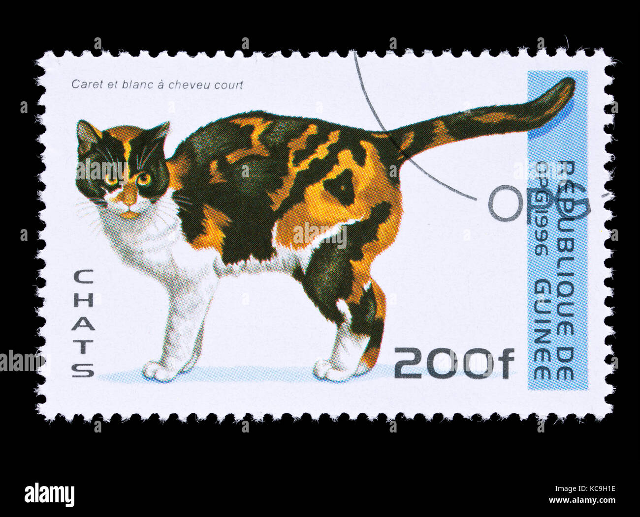 Briefmarke aus Guinea mit der Darstellung eines Schildpatt kurze Haare Brut der Katze. Stockfoto
