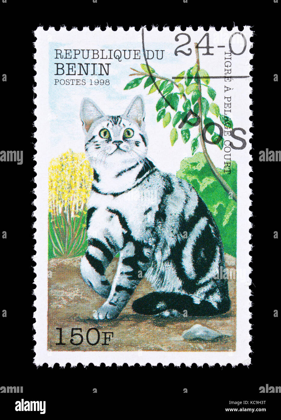 Briefmarken aus Benin, das eine gestreifte shorthairn Rasse der Hauskatze. Stockfoto