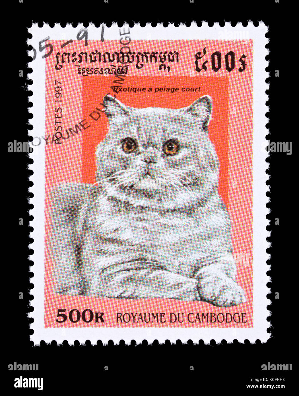 Briefmarke aus Kambodscha Darstellung einer Exotischen kurzhaarige Rasse der Hauskatze. Stockfoto