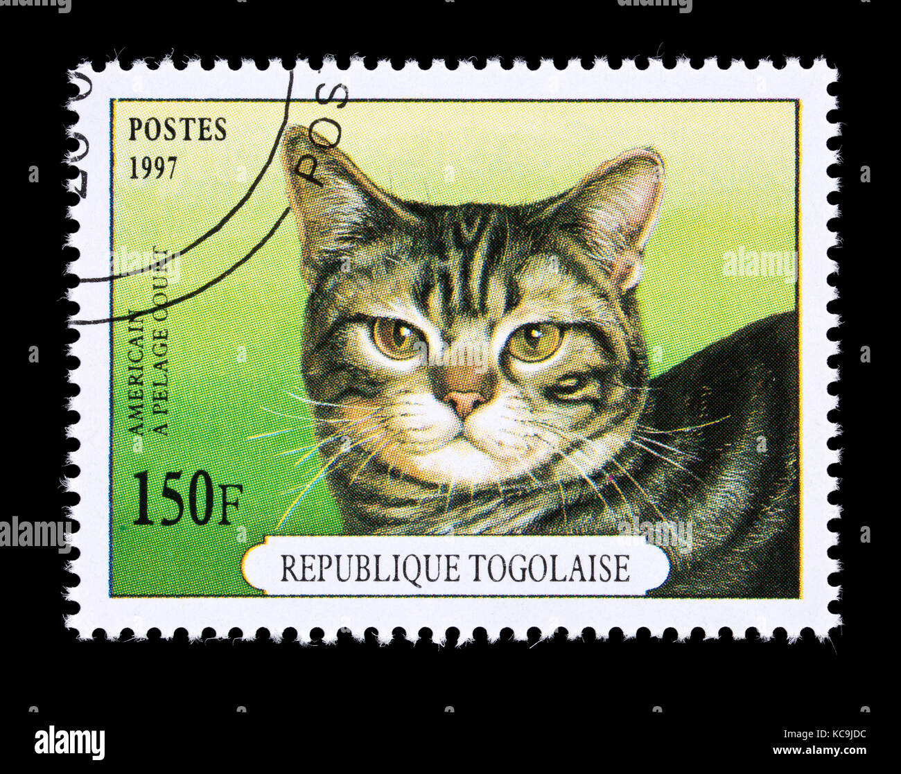 Briefmarke aus Togo, einem amerikanischen Kurzhaarkatze. Stockfoto