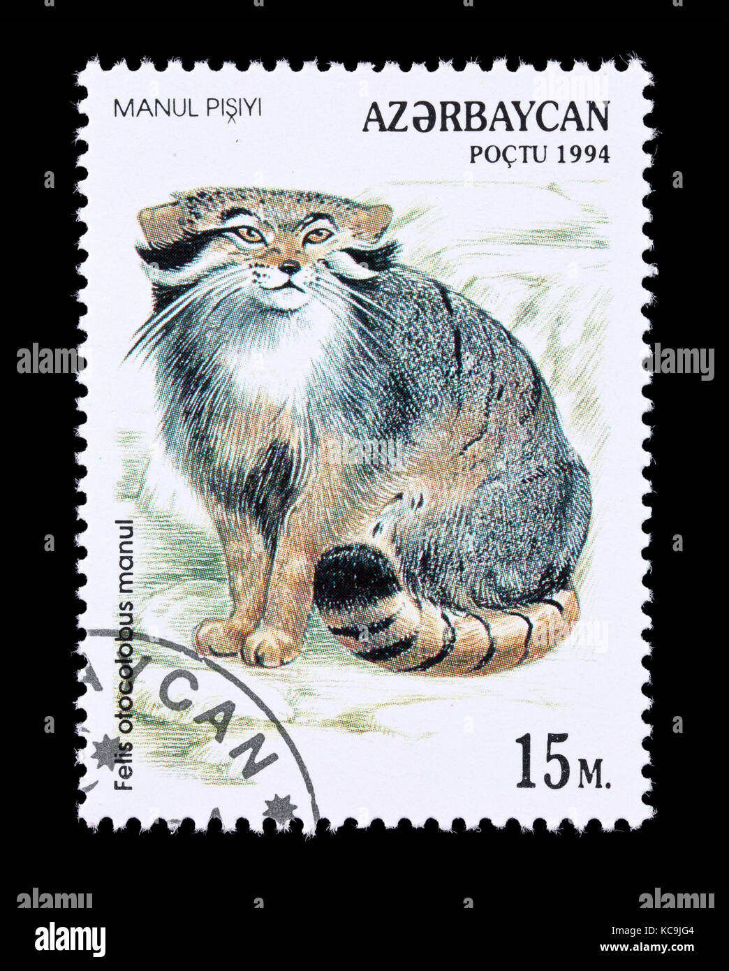 Briefmarke aus Aserbaidschan Darstellung des Pallas cat (Otocolobus manul) Stockfoto