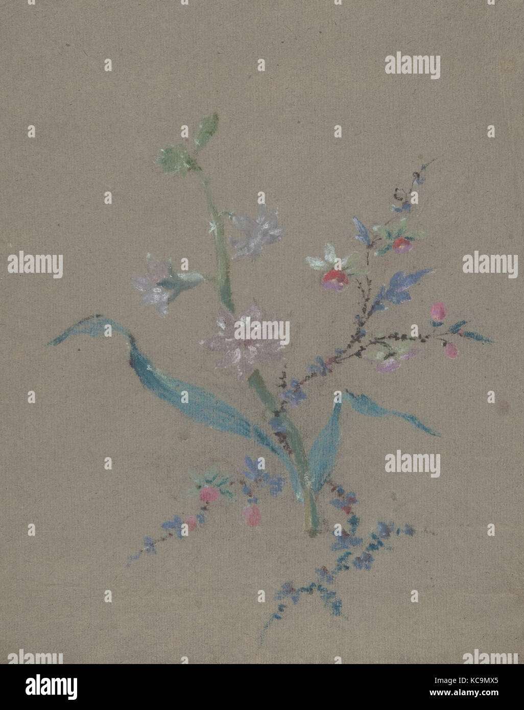 Florale Muster, n.d., Pastell auf grauem Papier, 11 5/8 x 9 in. (29,5 x 22,9 cm), Zeichnungen, Jean François Bony (Französisch, Givors 1760 - 18. Stockfoto