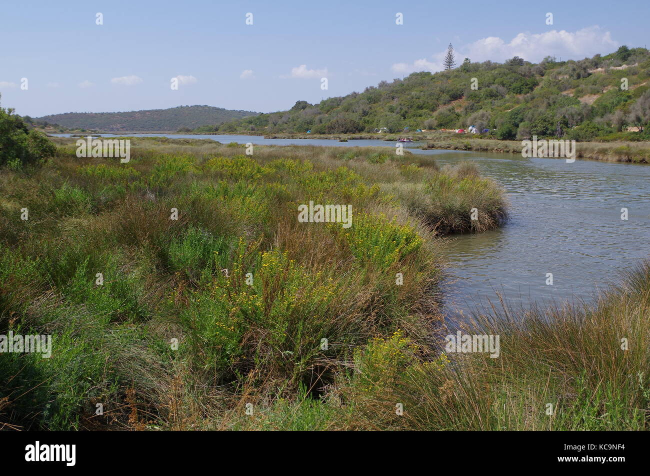 Sitio das Fontes de Estombar Park in Lagoa Stockfoto