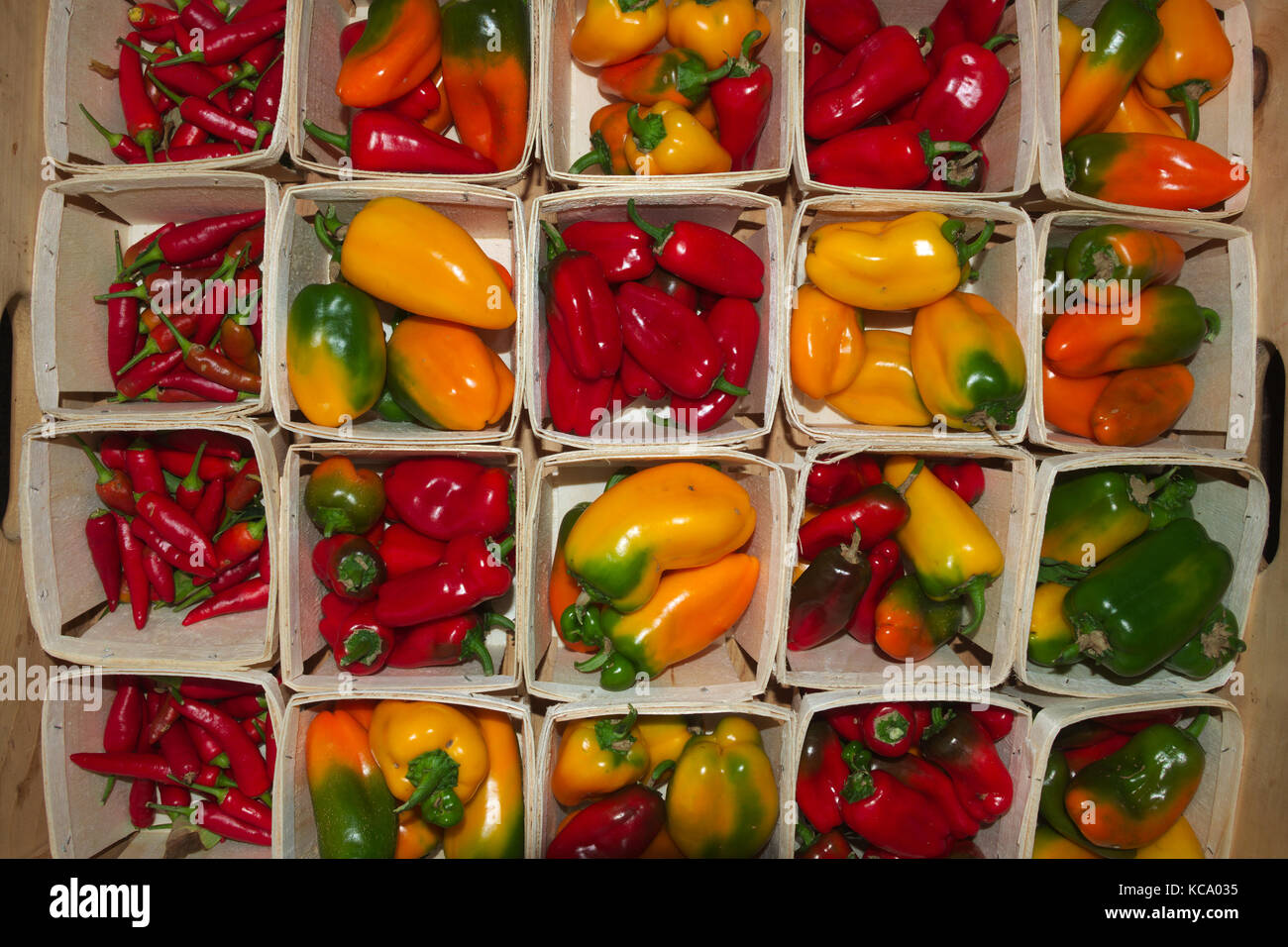 Sweet Pepper Gelb Rot Grün Einzelbehälter-Bauern-Markt Bio-Frisches Gemüse Stockfoto