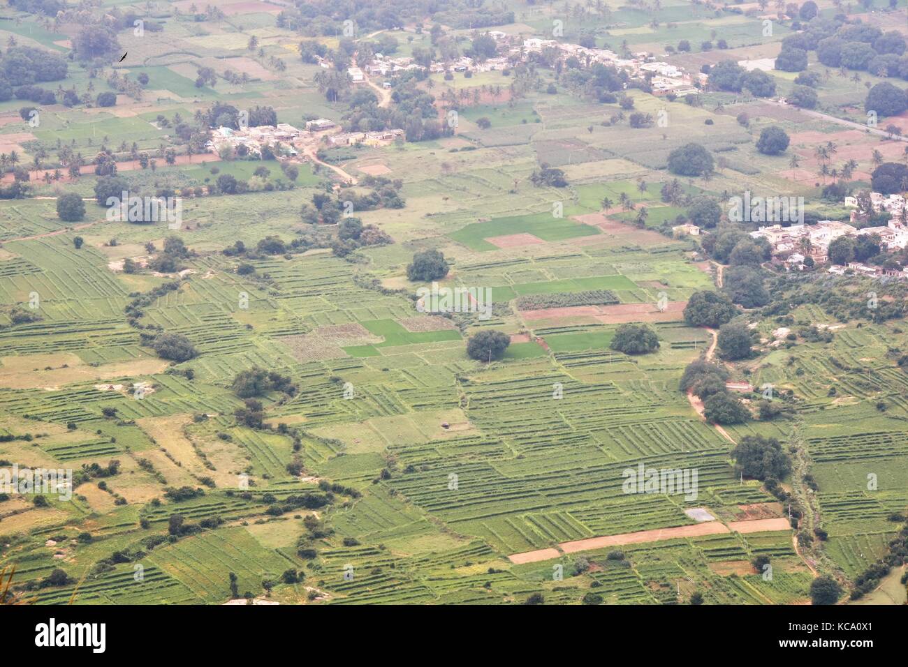 Horsley Hügel, chittoor, Andhra Pradesh, Indien Stockfoto