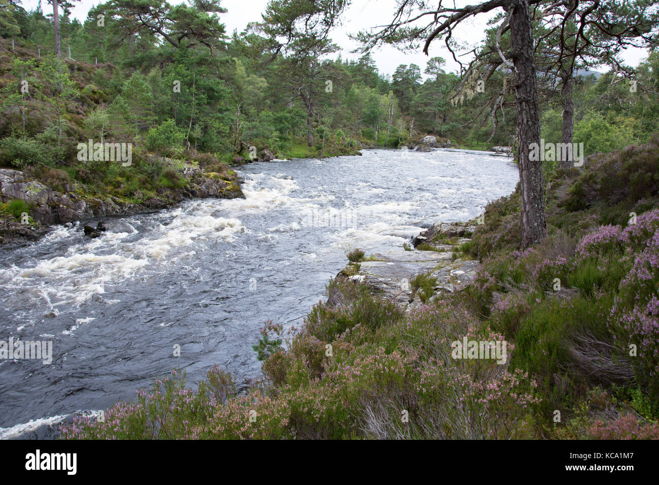 Reißender Fluss Stockfoto