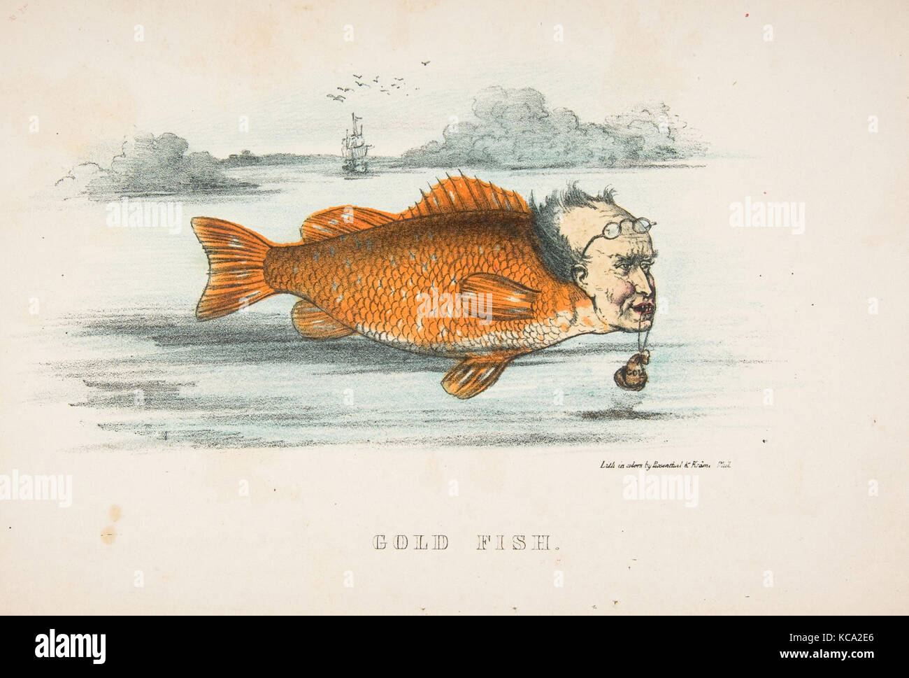 Gold Fish (Francis M. Drexel), aus dem Comic natürliche Geschichte der menschlichen Rasse, Henry Louis Stephens, 1851 Stockfoto