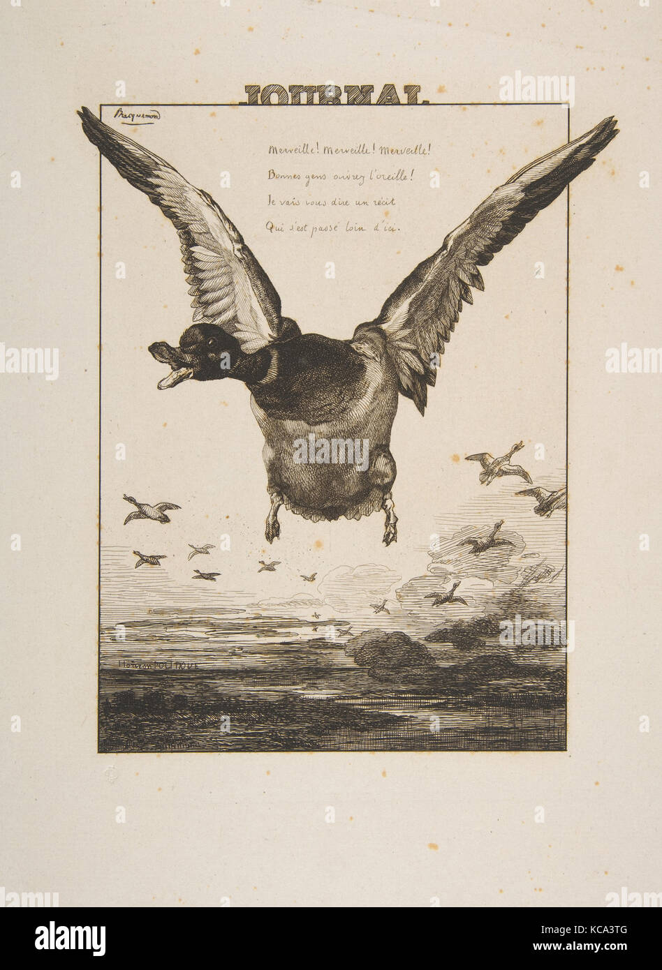 Die Ente, 1855 - 1914, Radierung; dritten Staat von vier, Blatt: 14 5/6 x 10 5/8 in. (36,6 x 27 cm), Drucke, Félix Bracquemond (Französisch Stockfoto