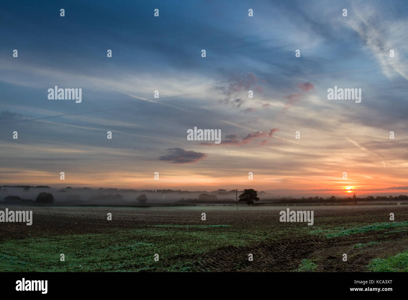 Sommer Sonnenaufgang über die Cotswolds, Oxfordshire, Großbritannien Stockfoto