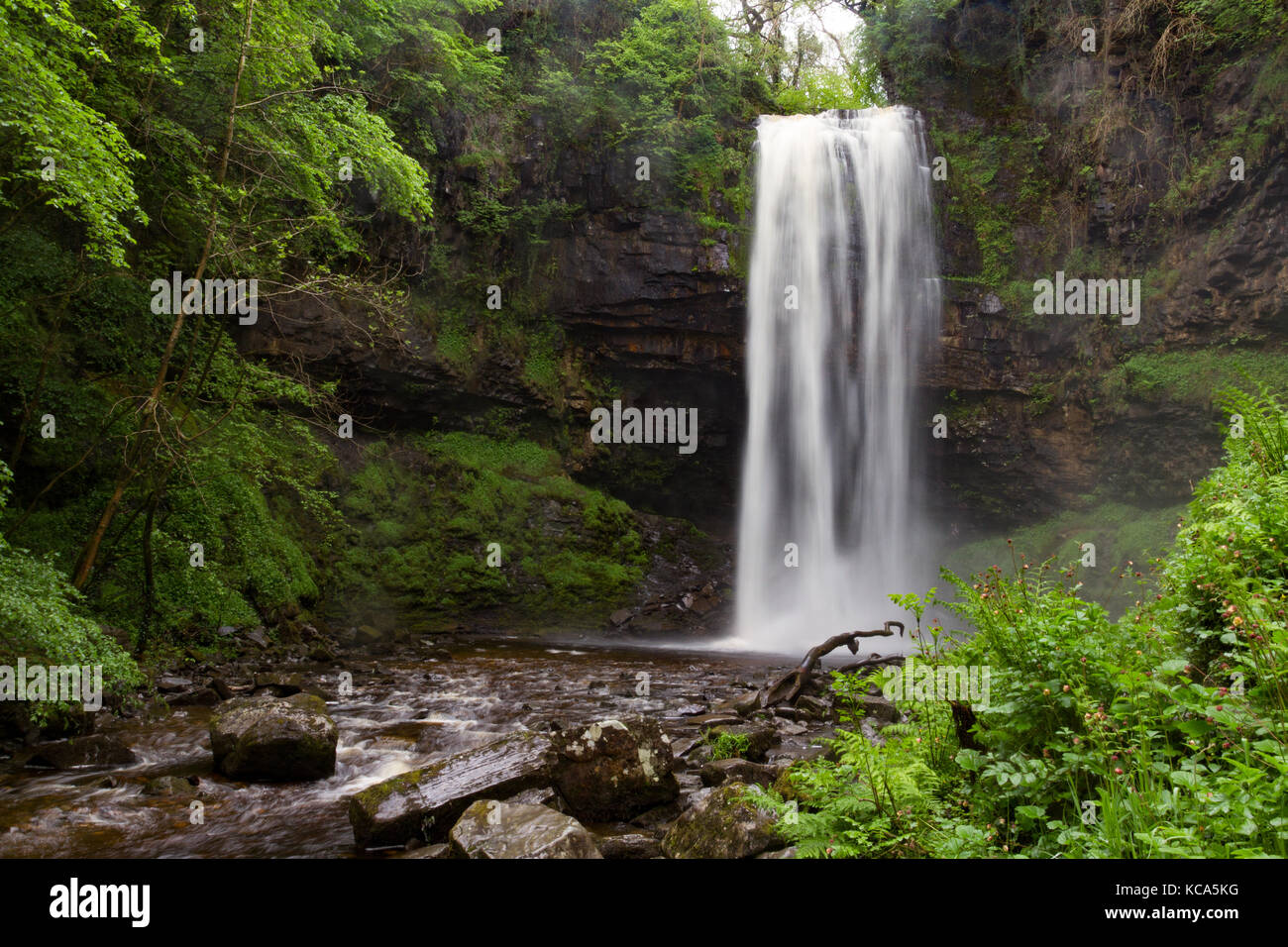Lange Belichtung Bild des Henrhyd Wasserfälle in Brecon Beacons, Wales, Großbritannien Stockfoto