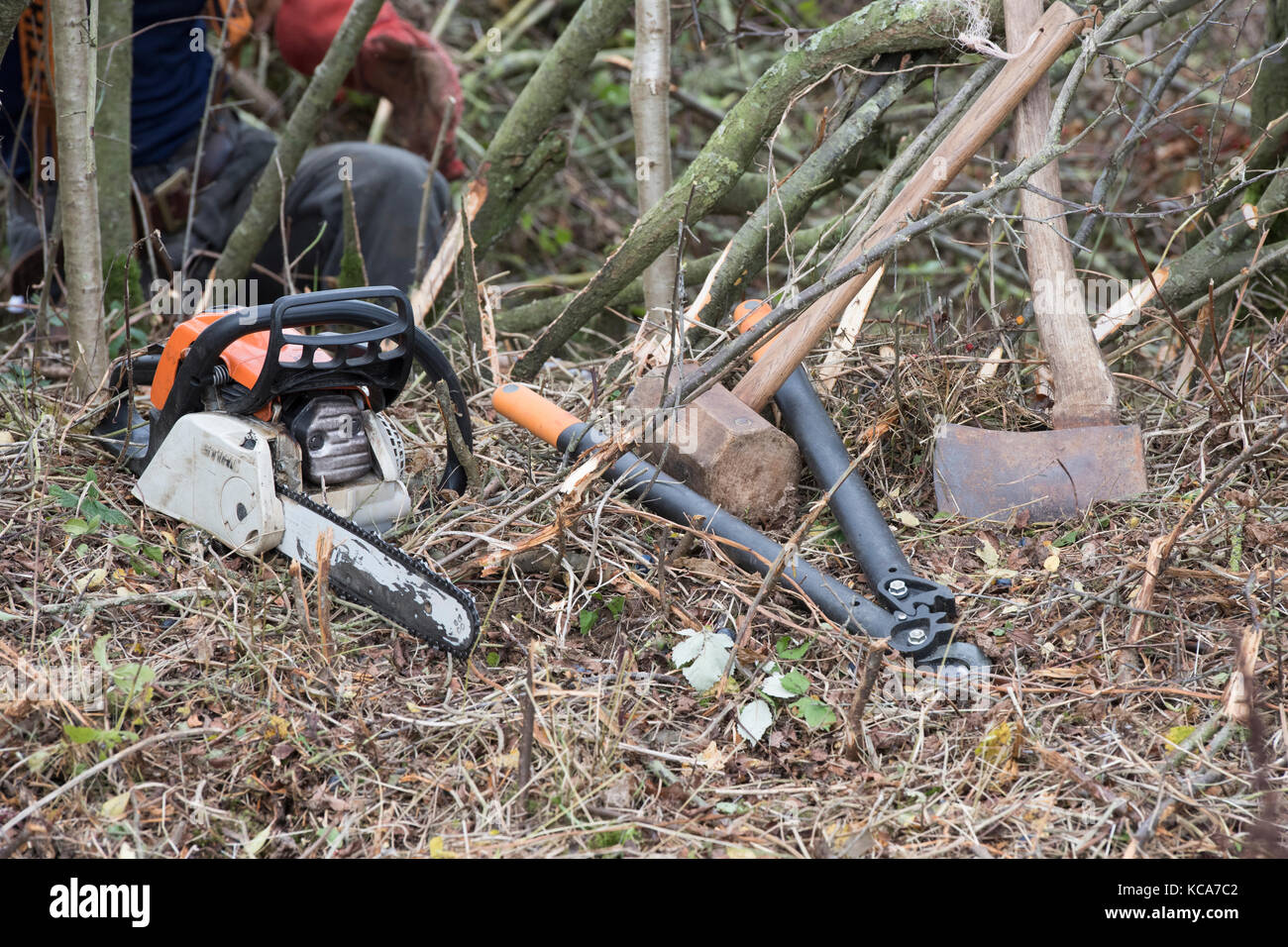Tools für Hedge Festlegung auf eine Landwirtschaft zeigen. Lechlade, Gloucestershire, Cotswolds, Großbritannien Stockfoto