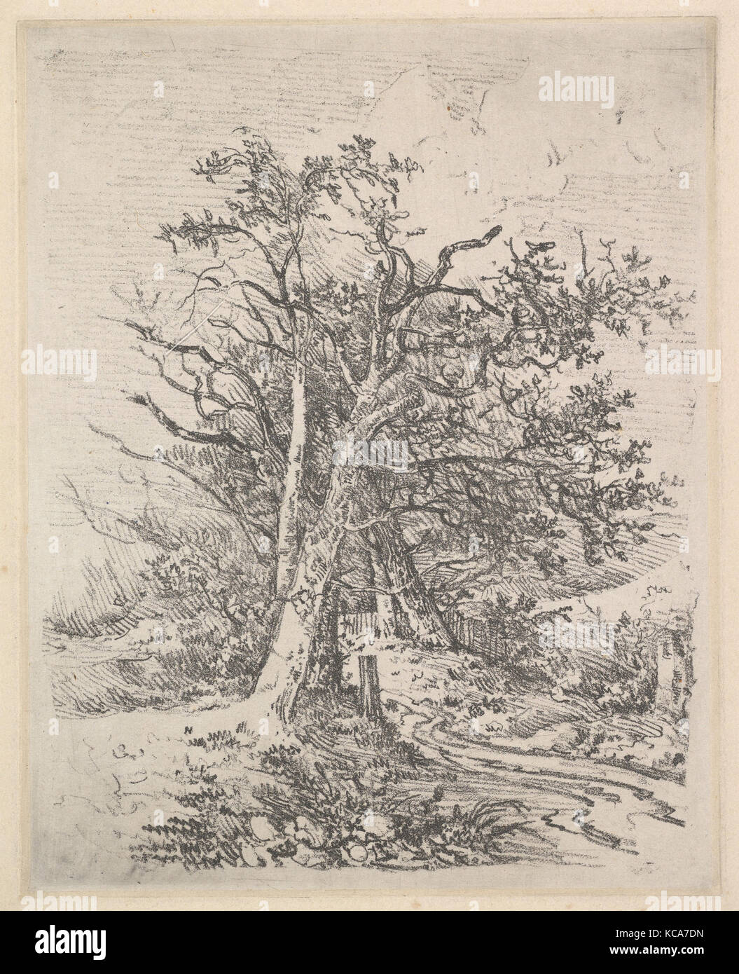 Baumstämme und Lane, 1811-12, Soft-boden Ätzung auf Chine collé, Platte: 8 1/16 x 6 7/16 in. (20,5 x 16,4 cm), Drucke, John Stockfoto