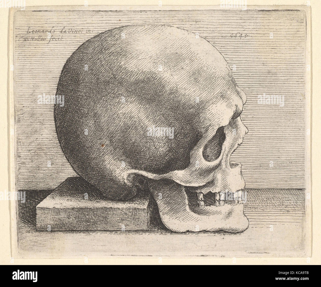 Schädel im Profil nach rechts, nach Leonardo da Vinci, 1645 Stockfoto