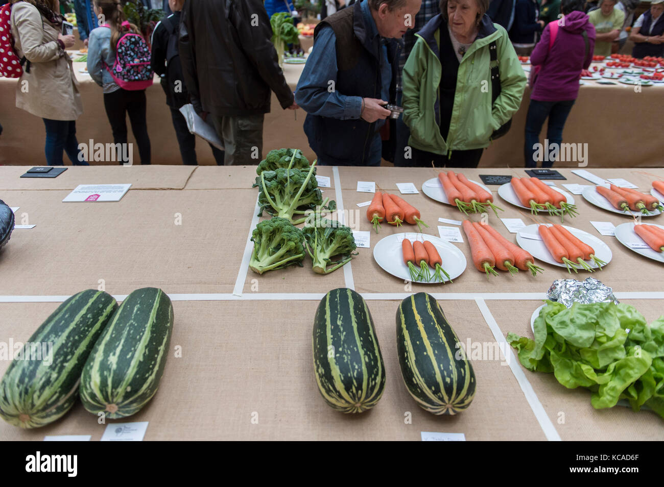 Lindley Hall, London, Großbritannien. 3. Oktober 2017. Zwei Tage RHS London Harvest Festival anzeigen öffnet, feiert die Ernte dieses Jahr mit der RHS 'Giant Kürbis und im Herbst Obst und Gemüse Wettbewerbe. Credit: Malcolm Park/Alamy Leben Nachrichten. Stockfoto