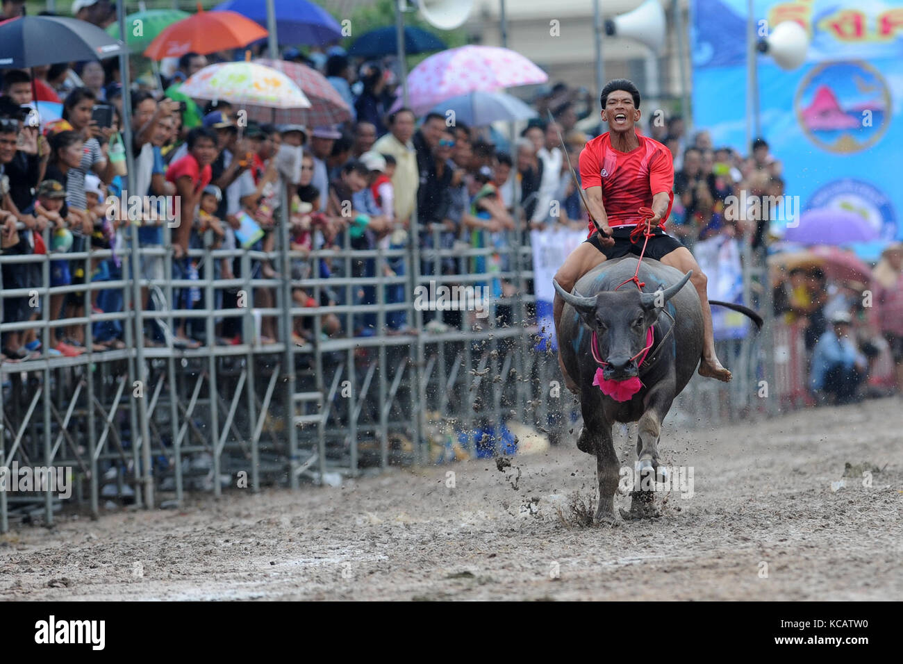 Chonburi, Thailand. 4. Oktober 2017. Eine Racer konkurriert während einer jährlichen Buffalo racing in Chonburi, Thailand. Credit: Rachen sageamsak/Xinhua/alamy leben Nachrichten Stockfoto