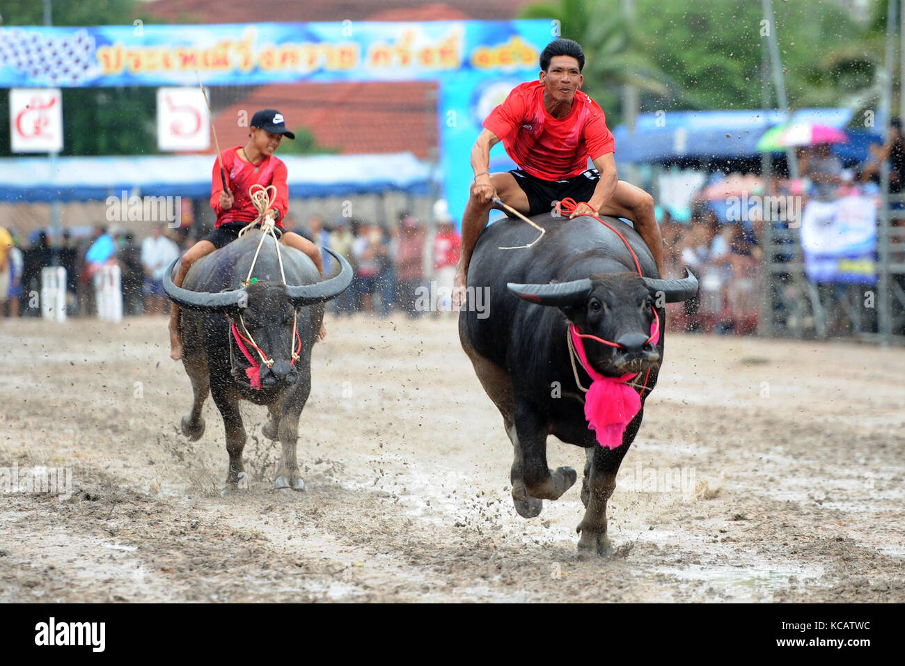 Chonburi, Thailand. 4. Oktober 2017. Racers während einer jährlichen Buffalo racing in Chonburi, Thailand konkurrieren. Credit: Rachen sageamsak/Xinhua/alamy leben Nachrichten Stockfoto