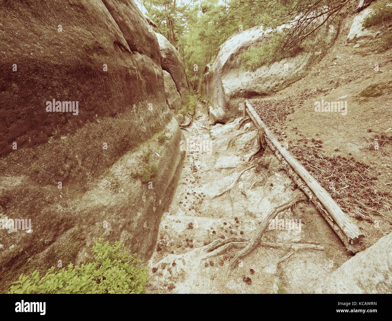 Tiefe Eingang weg in Sandstein blockieren. historischen Weg durch den Nadelwald Stockfoto