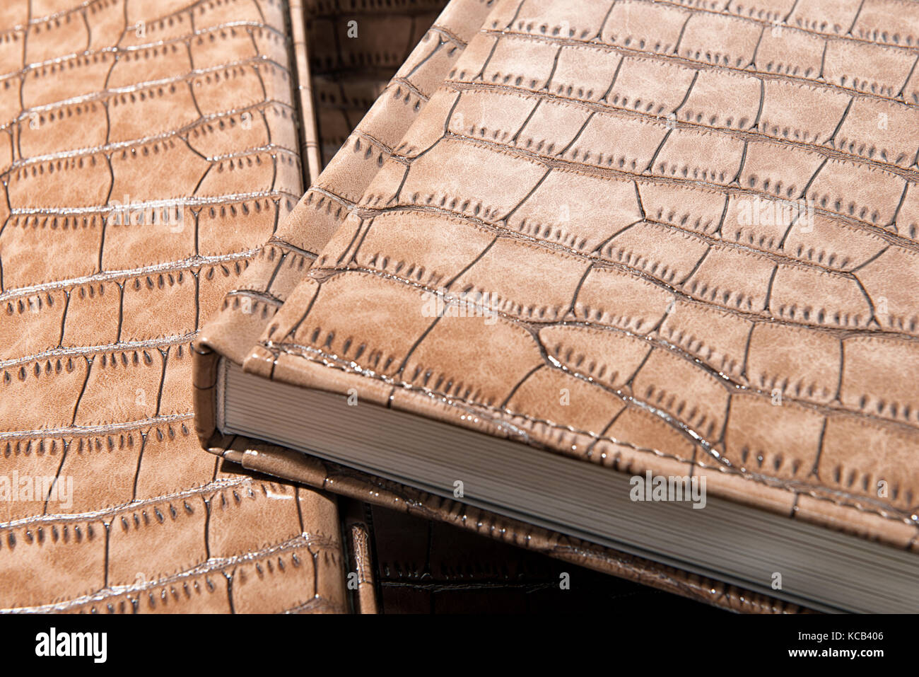 die Wirbelsäule des Buches hautnah auf einem hellen Hintergrund Stockfoto