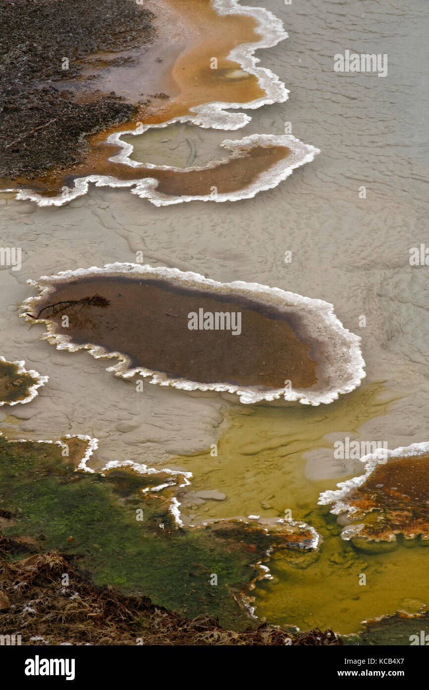 Geologische Besonderheiten im Fountain Paint Pot, Yellowstone National Park Stockfoto