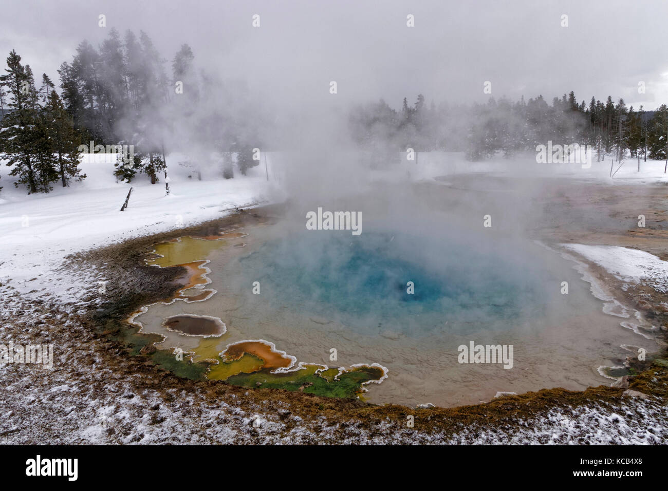 Heiße Quellen in Fountain Paint Pot, Yellowstone National Park Stockfoto