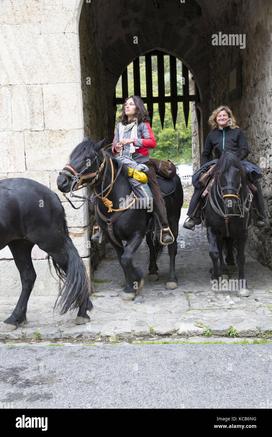 Mérens Pferde gehen durch Villefranche-de-Conflent, auf ihrem Weg zu den Sommerweiden Stockfoto