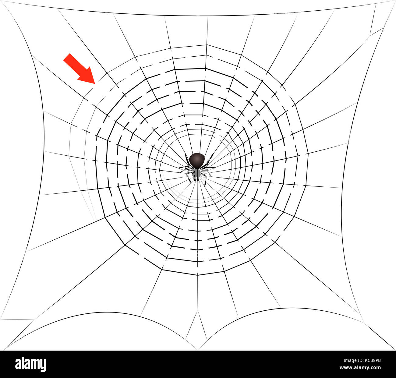 Spinnennetz Labyrinth - der Weg durch das Spinnennetz Labyrinth in die Mitte, wo die Spinne auf Sie wartet - Halloween Spaß Spiel finden. Stockfoto