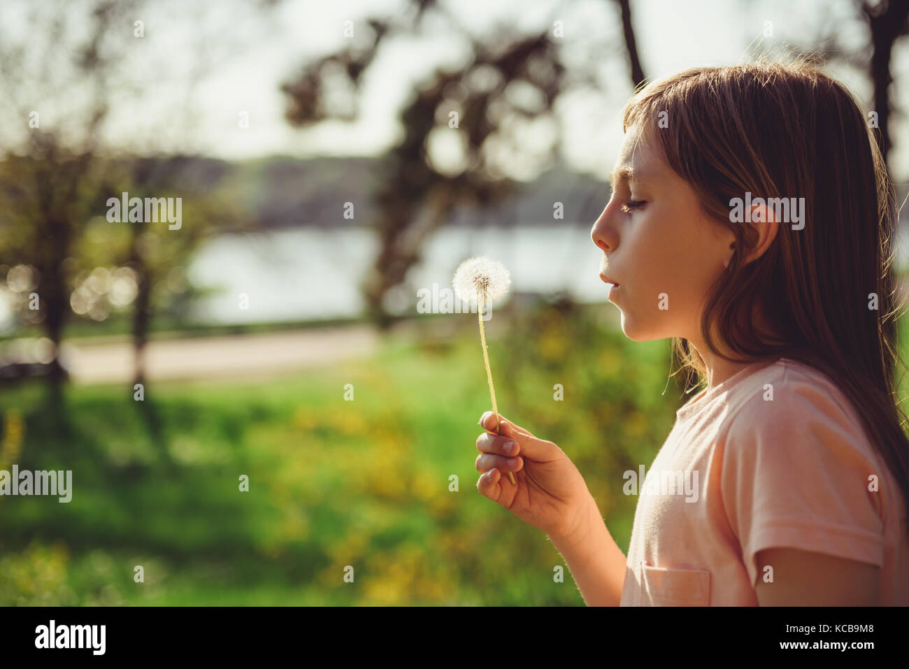 Mädchen mit langem Haar weht ein Löwenzahn auf der Wiese Stockfoto