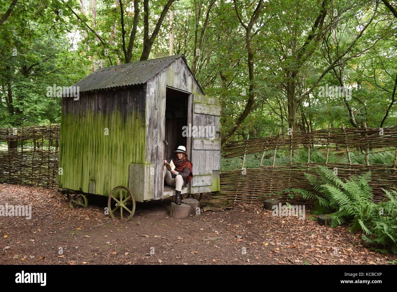 Frau entspannend mit Buch auf Waldgarten Schuppen auf Rädern Großbritannien abgeschiedenes Abgeschiedenheit in der Abgeschiedenheit, ein Refugium auf dem Land Stockfoto