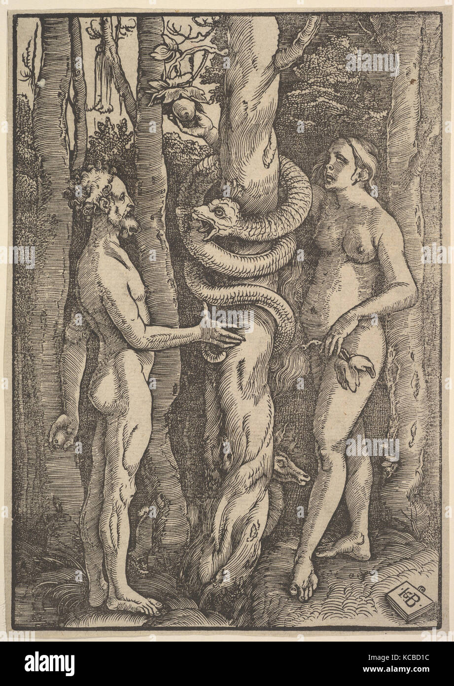 Adam und Eva, 1514, Holzschnitt, Block: 8 11/16 x 6 1/16-in. (22,1 x 15,4 cm), Drucke, Hans Baldung (genannt Hans Baldung Grien Stockfoto