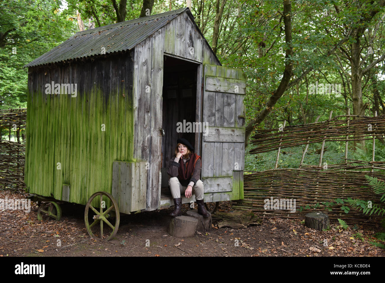 Frau Entspannung im Waldgarten Schuppen auf Rädern Großbritannien Großbritannien Abgelegene Abgeschiedenheit Abgeschiedenheit Refugium auf dem Land Stockfoto