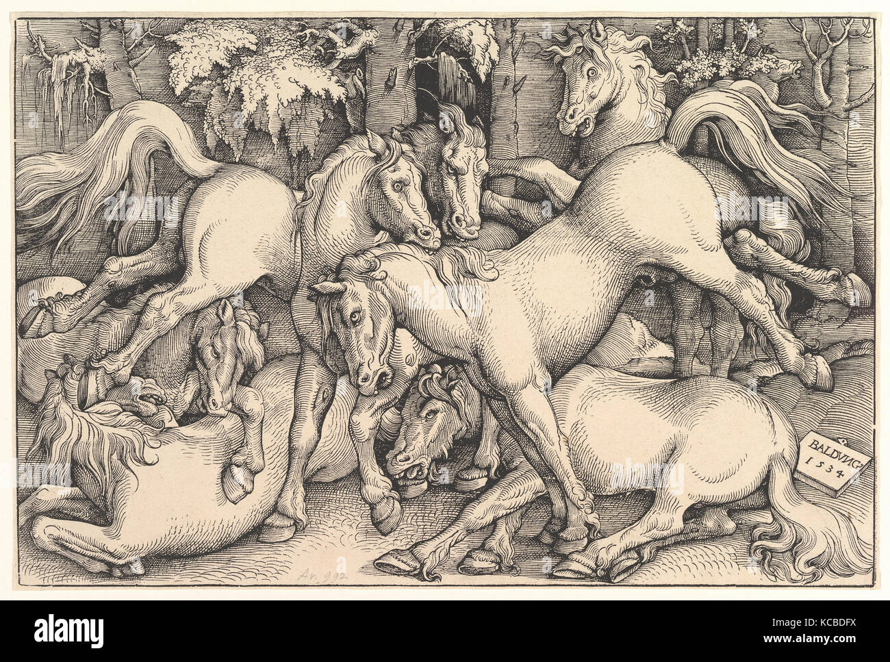 Gruppe von sieben Pferden, 1534, Holzschnitt, Blatt: 8-5/8 x 12-7/8-in. (21,8 x 32,6 cm), Drucke, Hans Baldung (genannt Hans Baldung Stockfoto