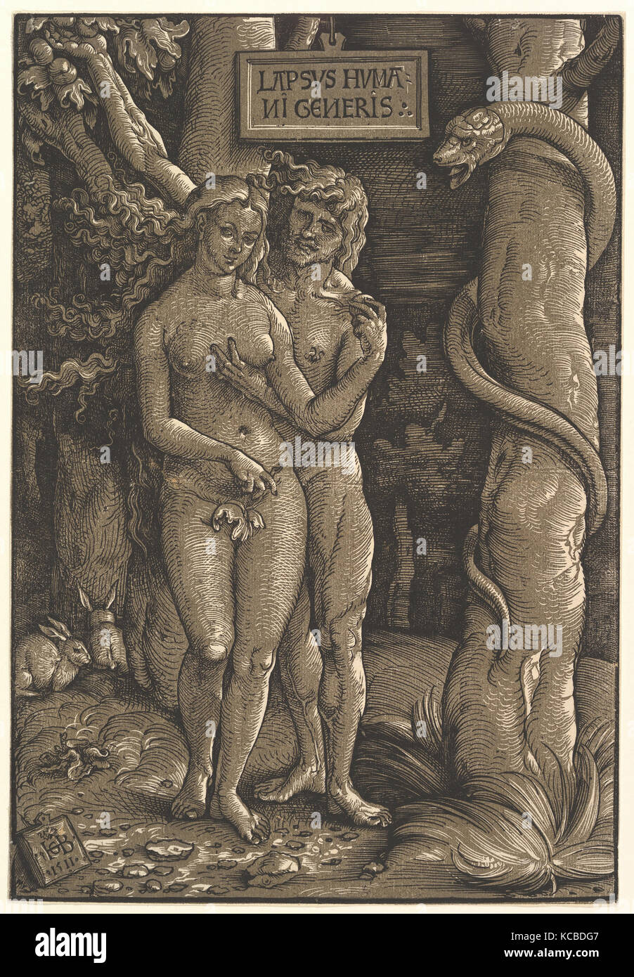 Der Fall der Menschheit, 1511, Chiaroscuro Holzschnitt in zwei Blöcken, in grau-braun und schwarz, Blatt: 14 15/16 x 10 3/16 in. (38 Stockfoto