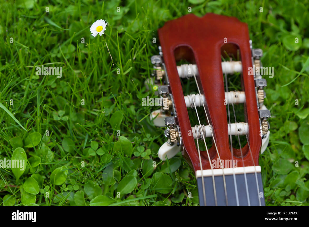 Gitarre auf dem Gras. Stockfoto