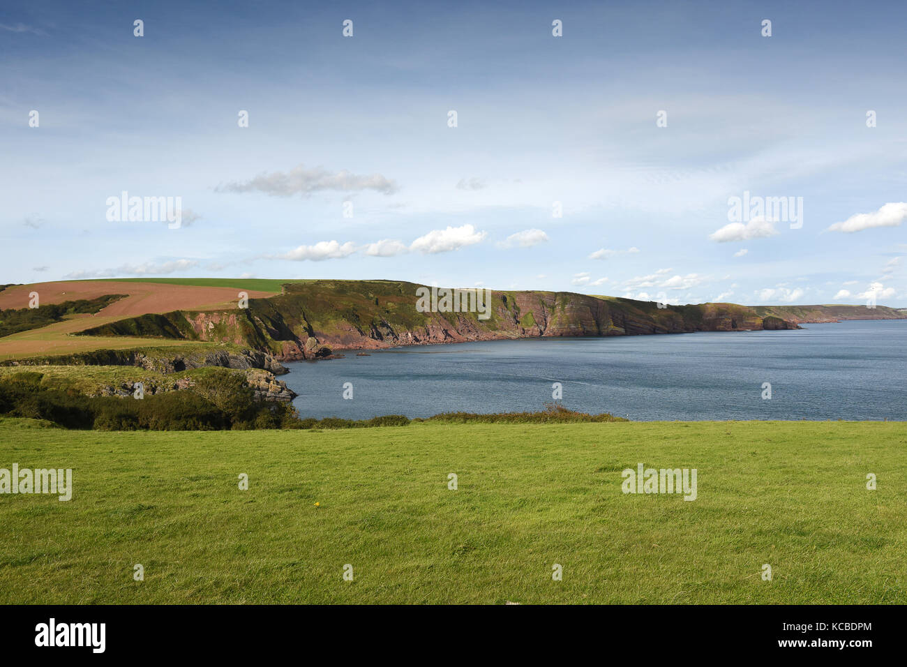 Pembrokeshire Coast Path zwischen Aufbau Kai und Barafundle Bucht in Pembrokeshire, West Wales, Großbritannien Stockfoto