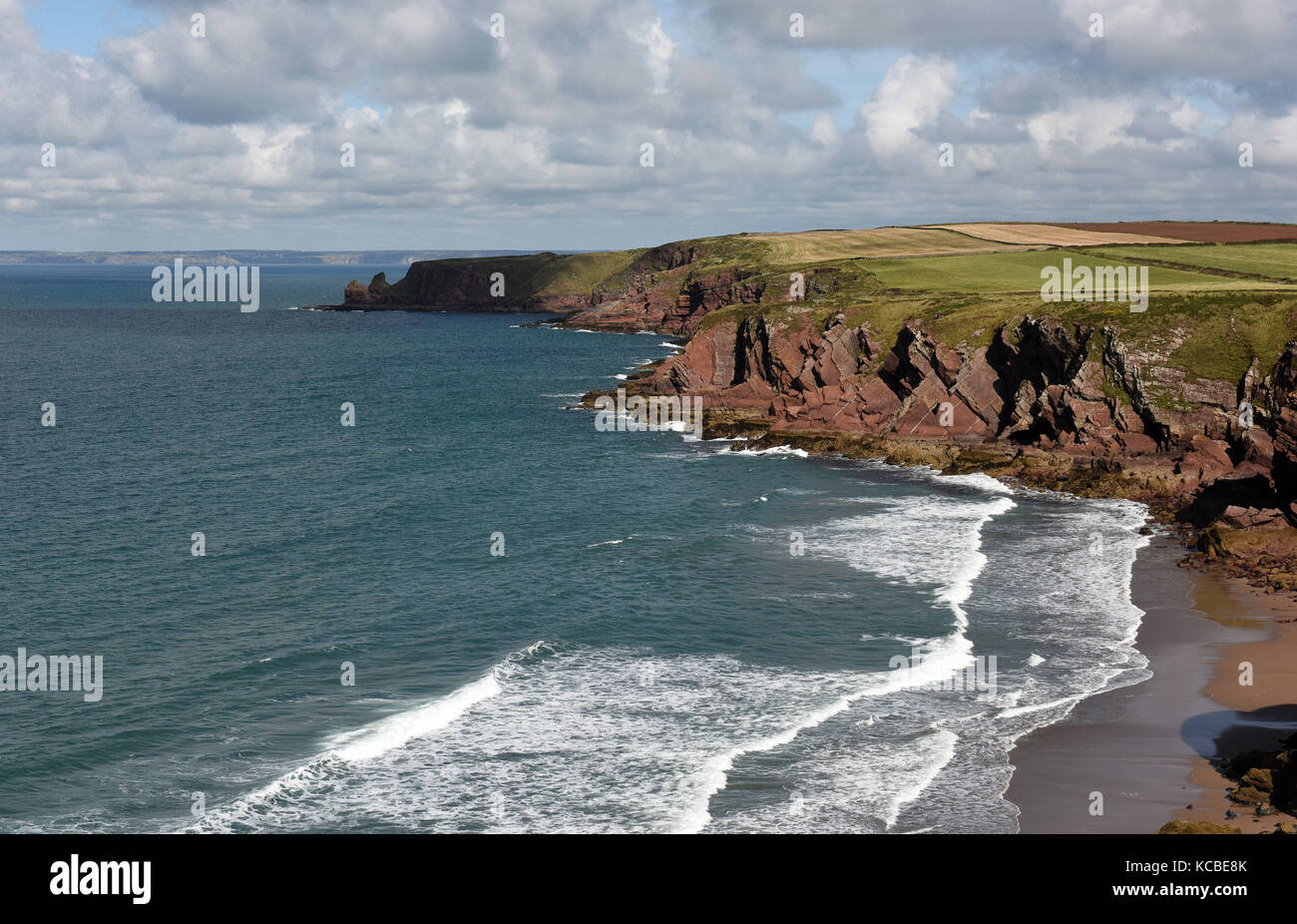 Die Küste von Pembrokeshire Coastal Path in der Nähe von Marloes und St. Brides in West Wales UK Stockfoto