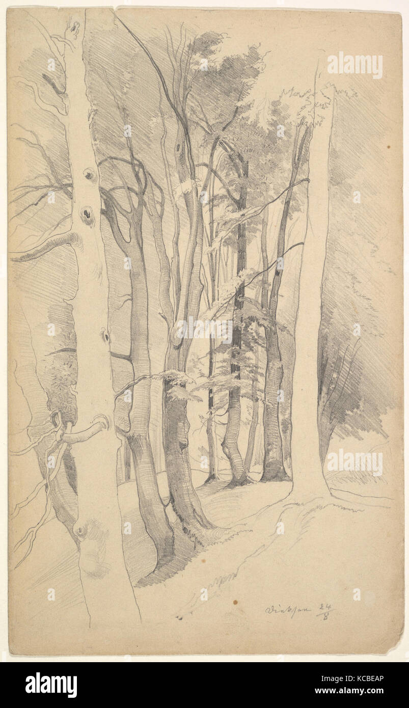 Carl maria nicolaus hummel Fotos und Bildmaterial in hoher Auflösung