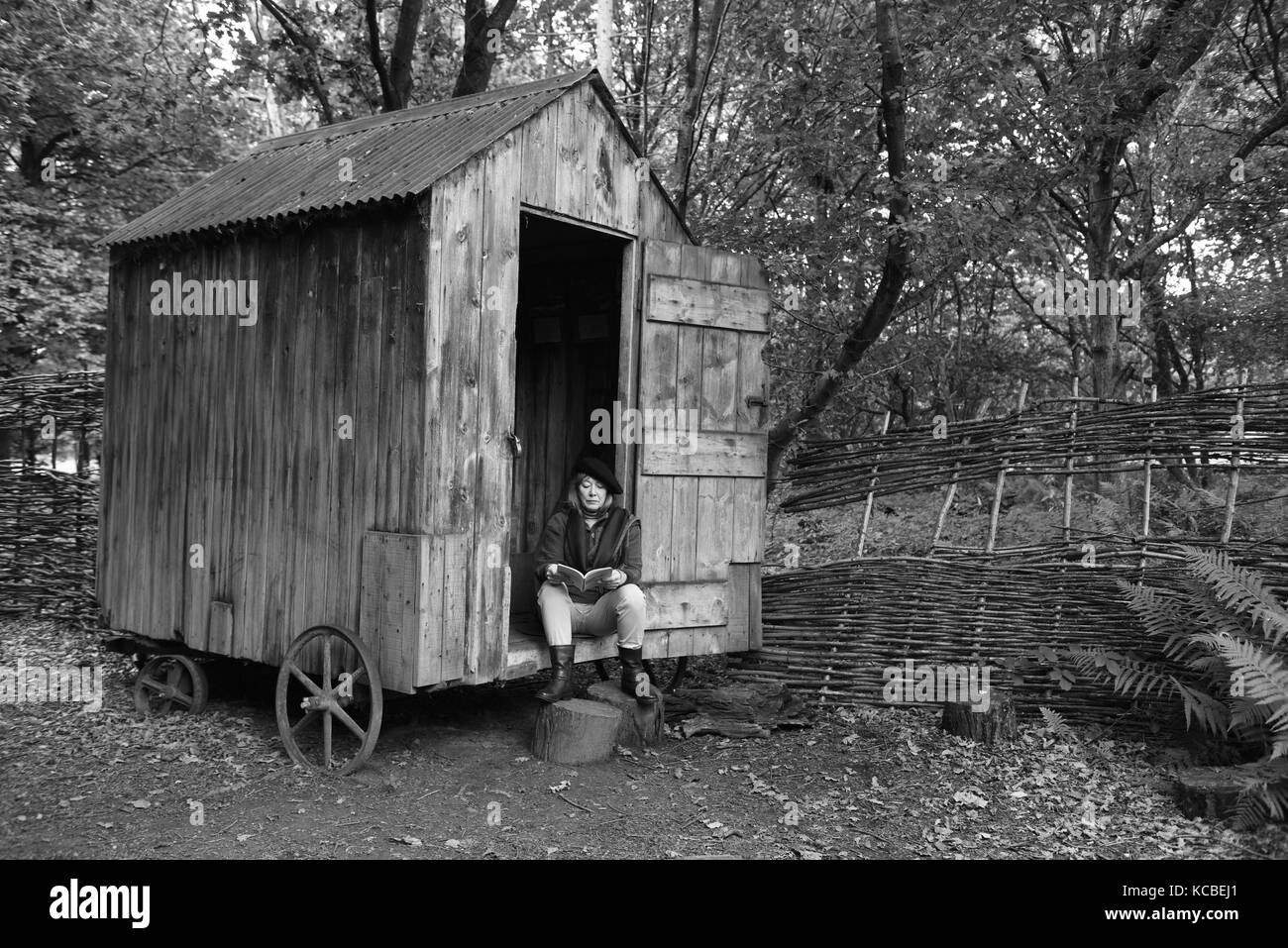 Frau entspannend mit Buch auf Waldgarten Schuppen auf Rädern Großbritannien abgeschiedenes Abgeschiedenheit in der Abgeschiedenheit, ein Refugium auf dem Land Stockfoto