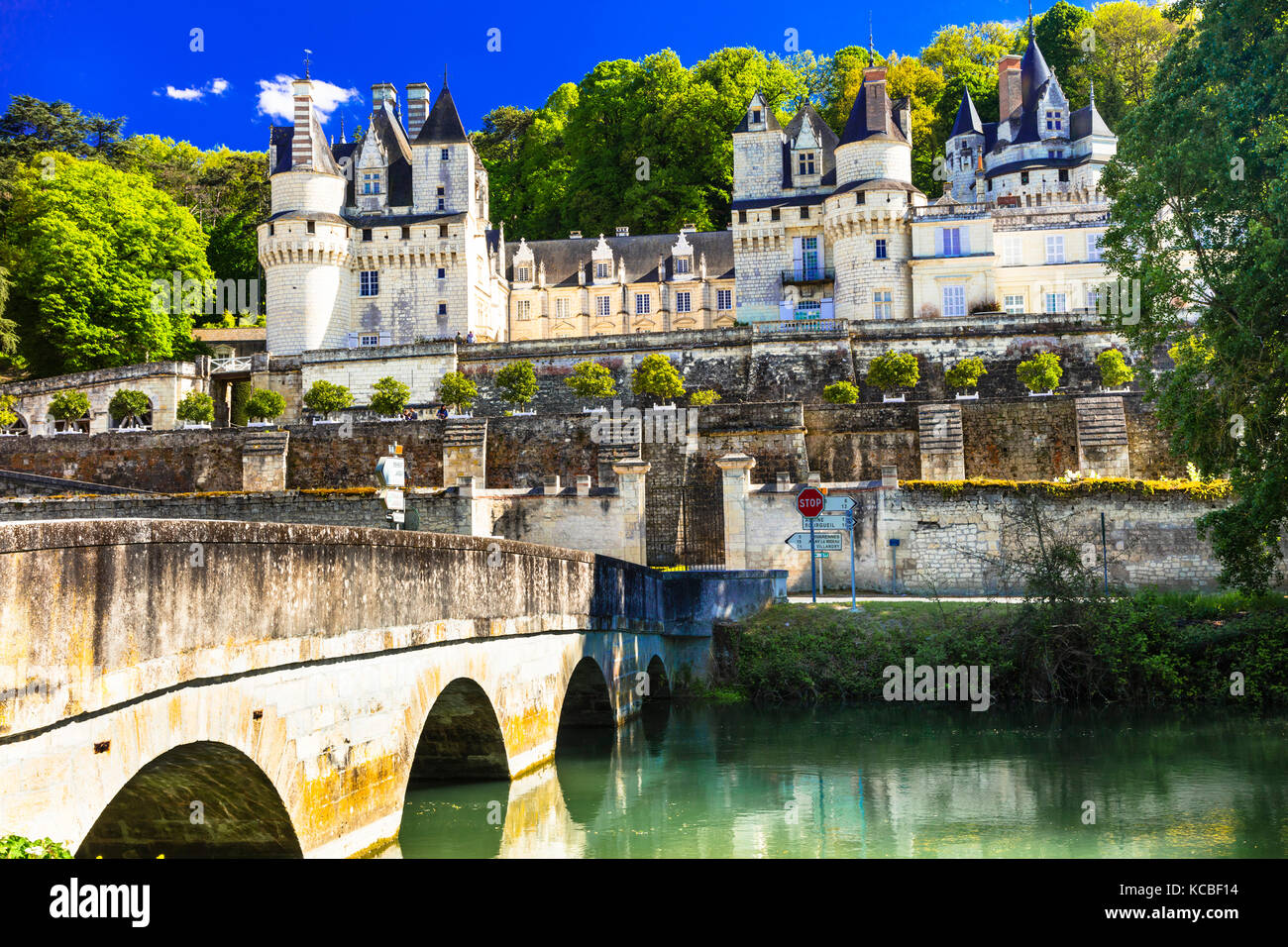 Beeindruckende usse Schloß, Loire Tal, Frankreich. Stockfoto