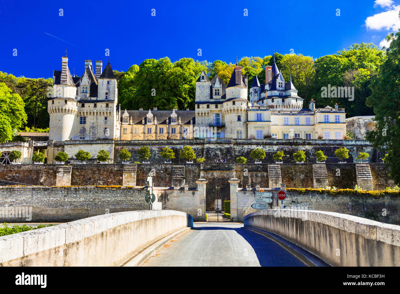 Herrlichen Chateau d'USSE', Loire Tal, Frankreich. Stockfoto