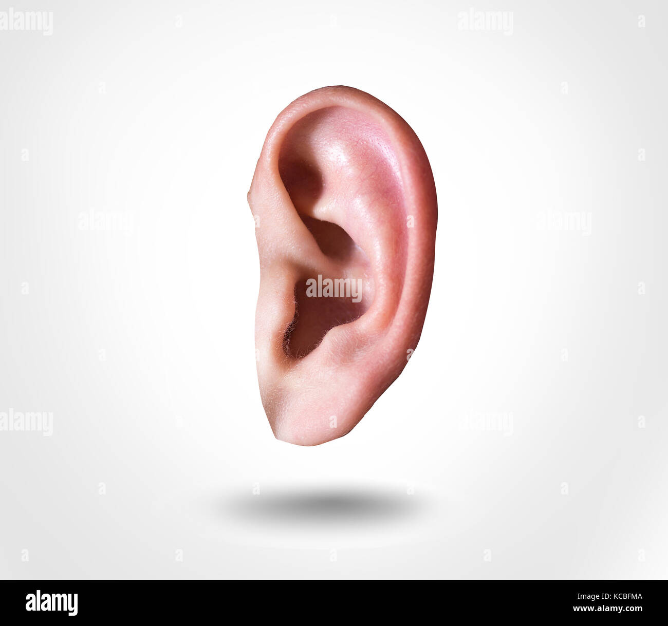 Menschliches Ohr Stockfotos und bilder Kaufen Alamy
