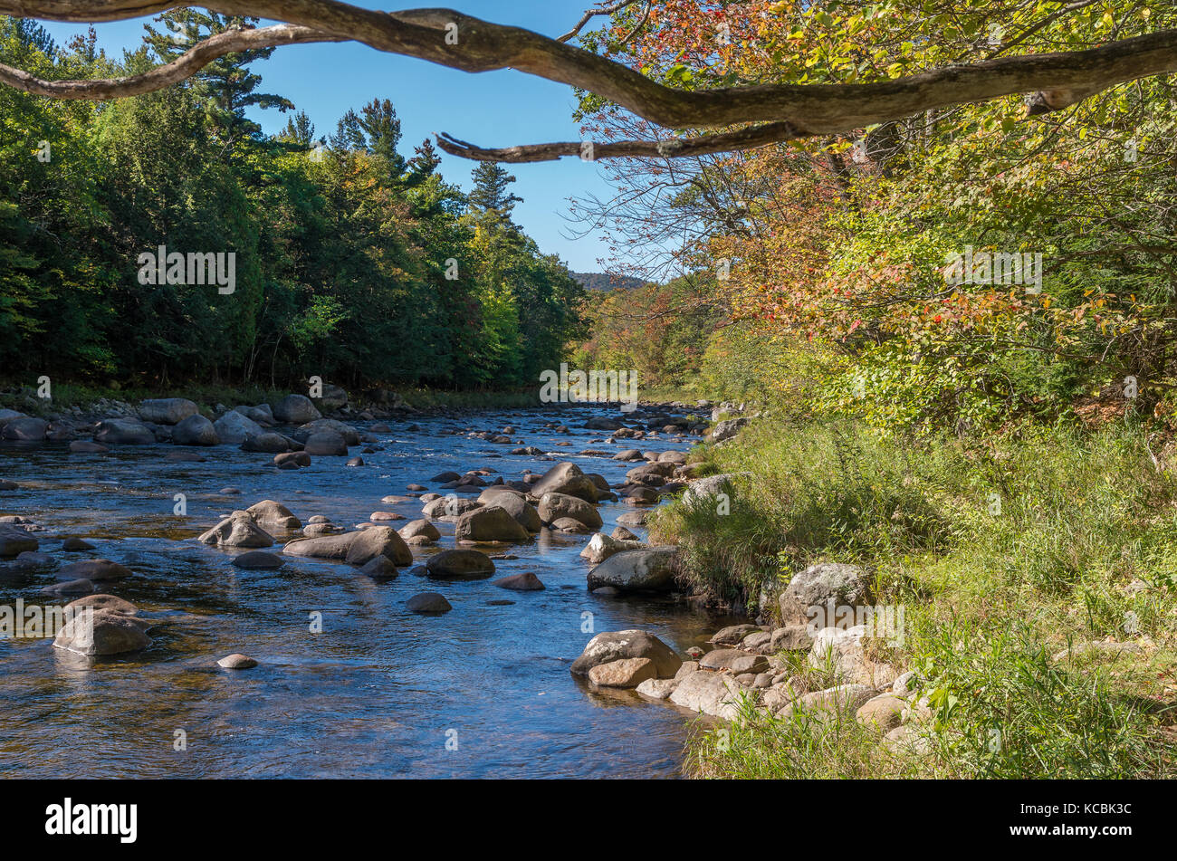 AuSable River im Herbst mit einigen Felsen Stockfoto