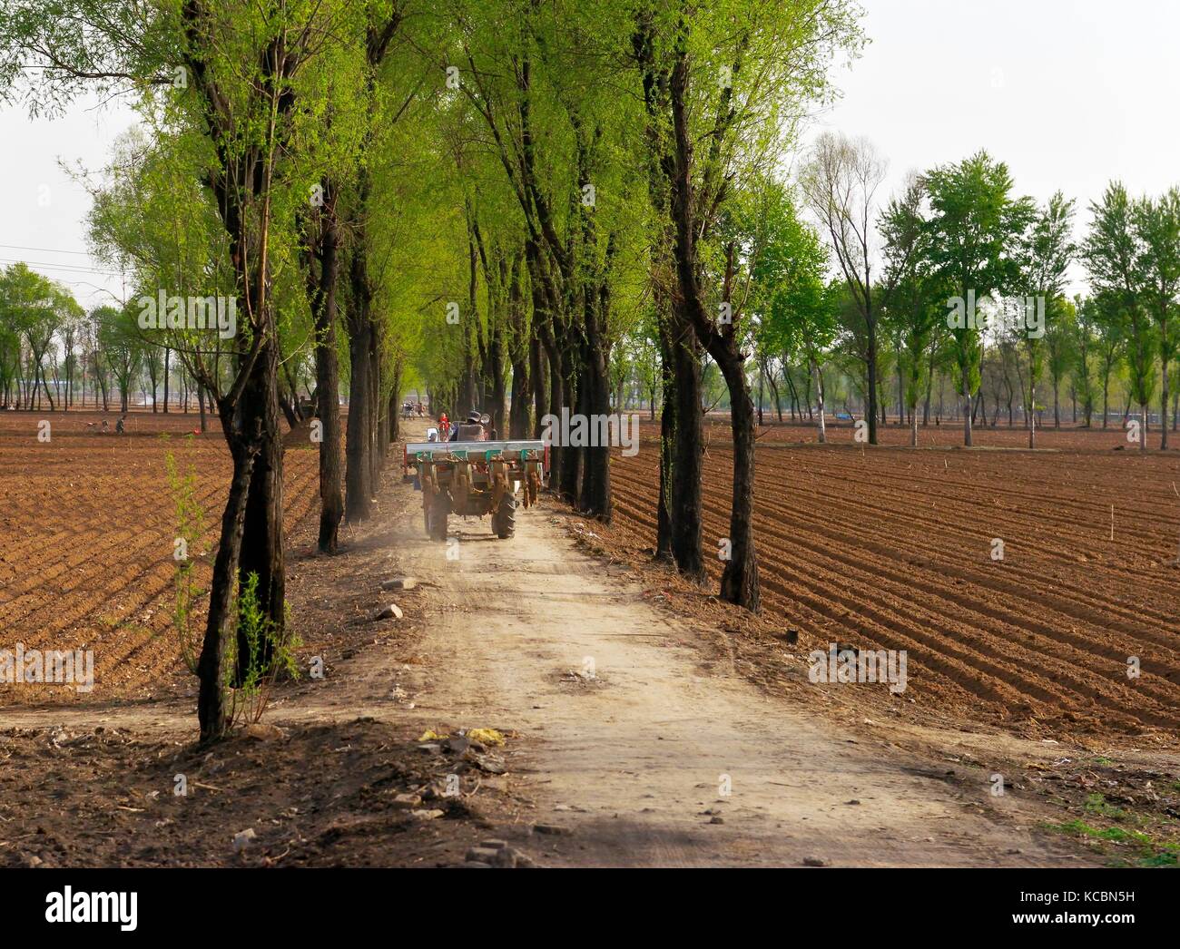 Der chinesischen Landwirtschaft. drillmaschine Frühjahrspflanzung in der reichen Bauernhof Feld Böden im südlichen Teil der Stadt Taiyuan, Provinz Shanxi, China Stockfoto