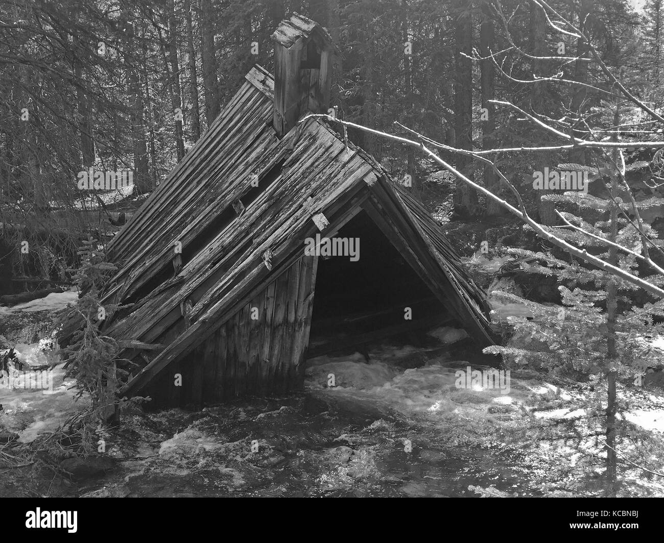 Coolidge Ghost Town Wise River montana Stockfoto